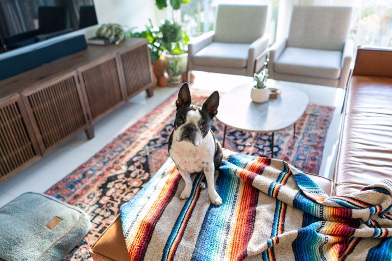 Top Waterproof Blankets to Protect Your Home in 2025