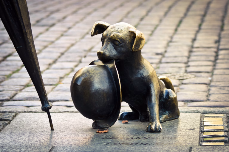 Top 5 Thoughtful Ways to Preserve Memories of Your Beloved Pet 30 Top 5 Thoughtful Ways to Preserve Memories of Your Beloved Pet
