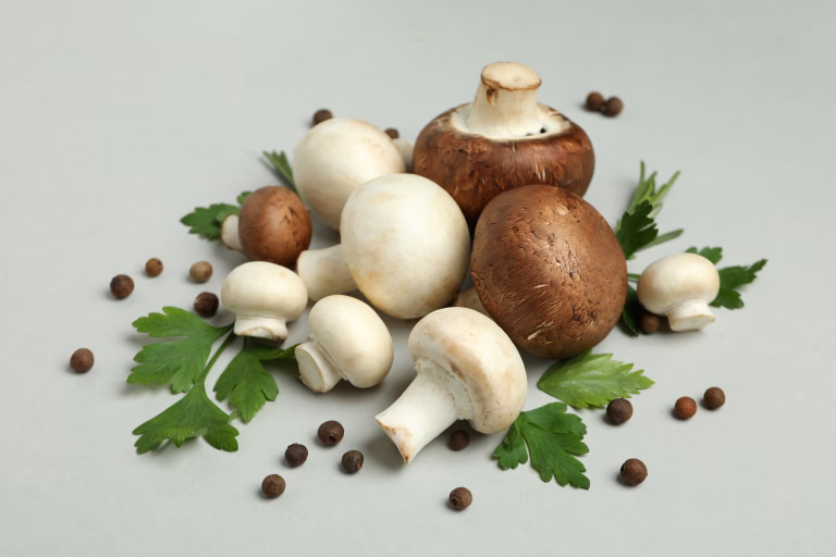 Finding the Perfect Mushroom Supplements for Dogs: Key Considerations 20 Finding the Perfect Mushroom Supplements for Dogs: Key Considerations