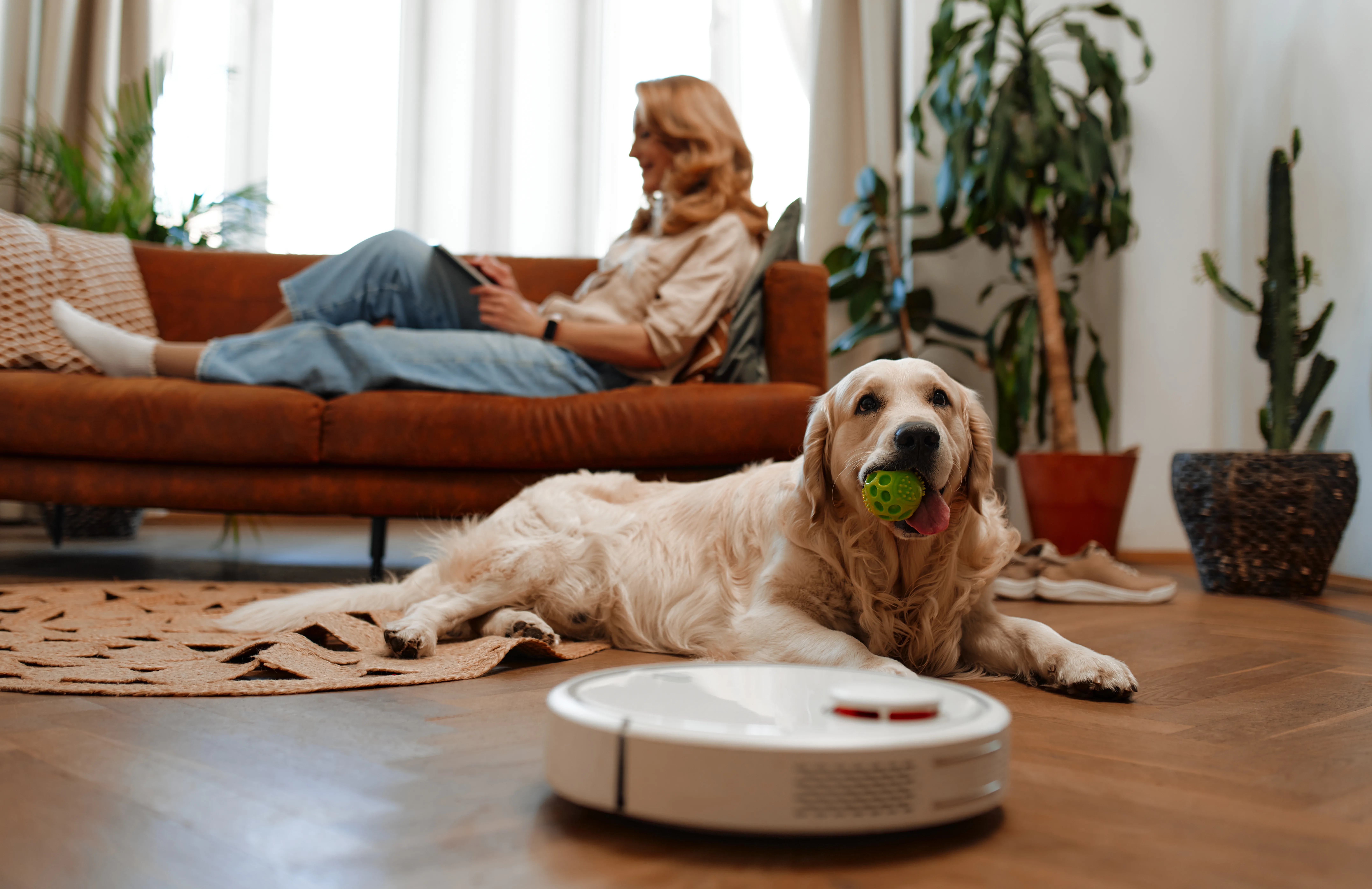 How to Keep Your Home Clean When You Have Dogs 2 How to Keep Your Home Clean When You Have Dogs