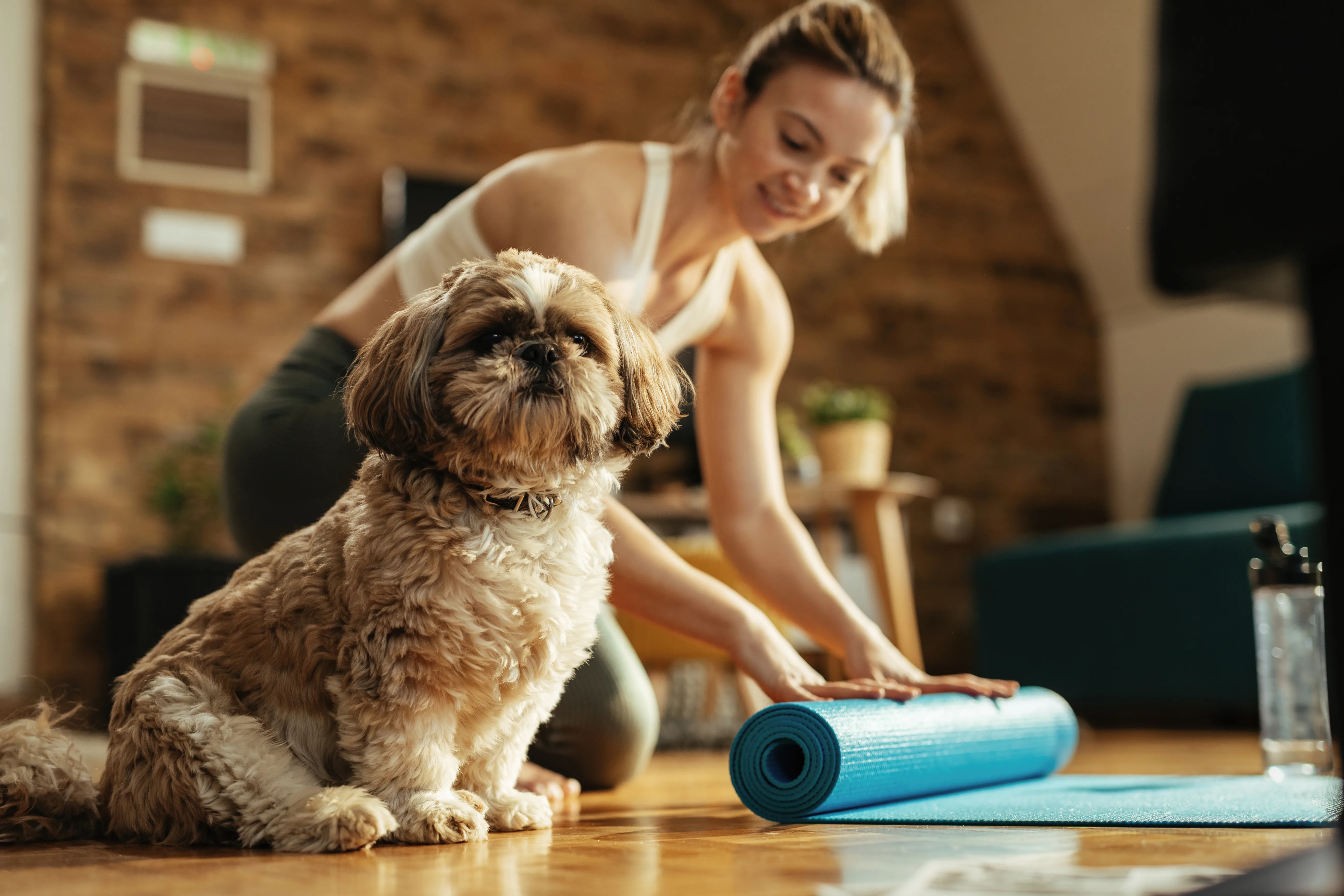 From Zoomies to Zen: Tips for Helping Your Pup Unwind After a Big Day 3 From Zoomies to Zen: Tips for Helping Your Pup Unwind After a Big Day