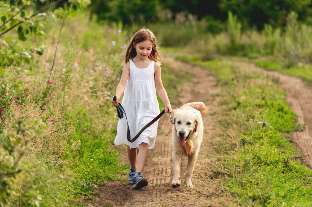 7 Poisonous Plants to Protect Your Dog From
