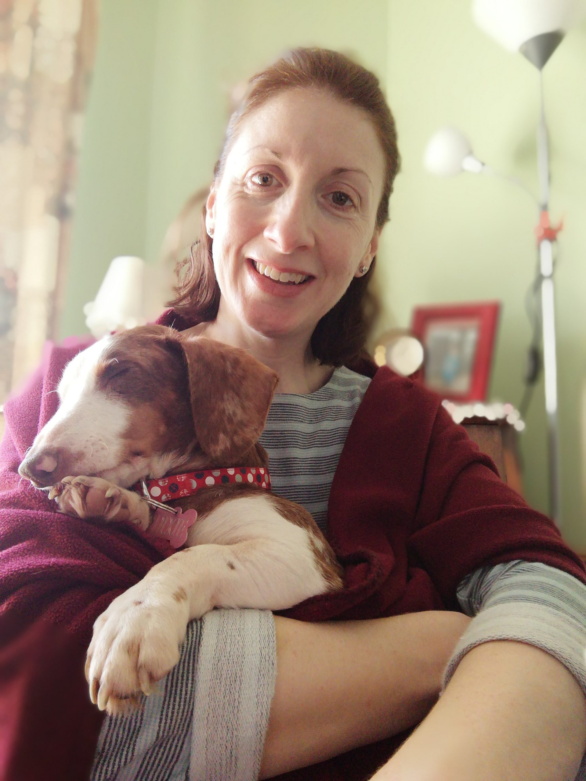 The Pain Of Giving Up A Dog Revealed in Hard Hitting Dogs Trust Advert 4 The Pain Of Giving Up A Dog Revealed in Hard Hitting Dogs Trust Advert