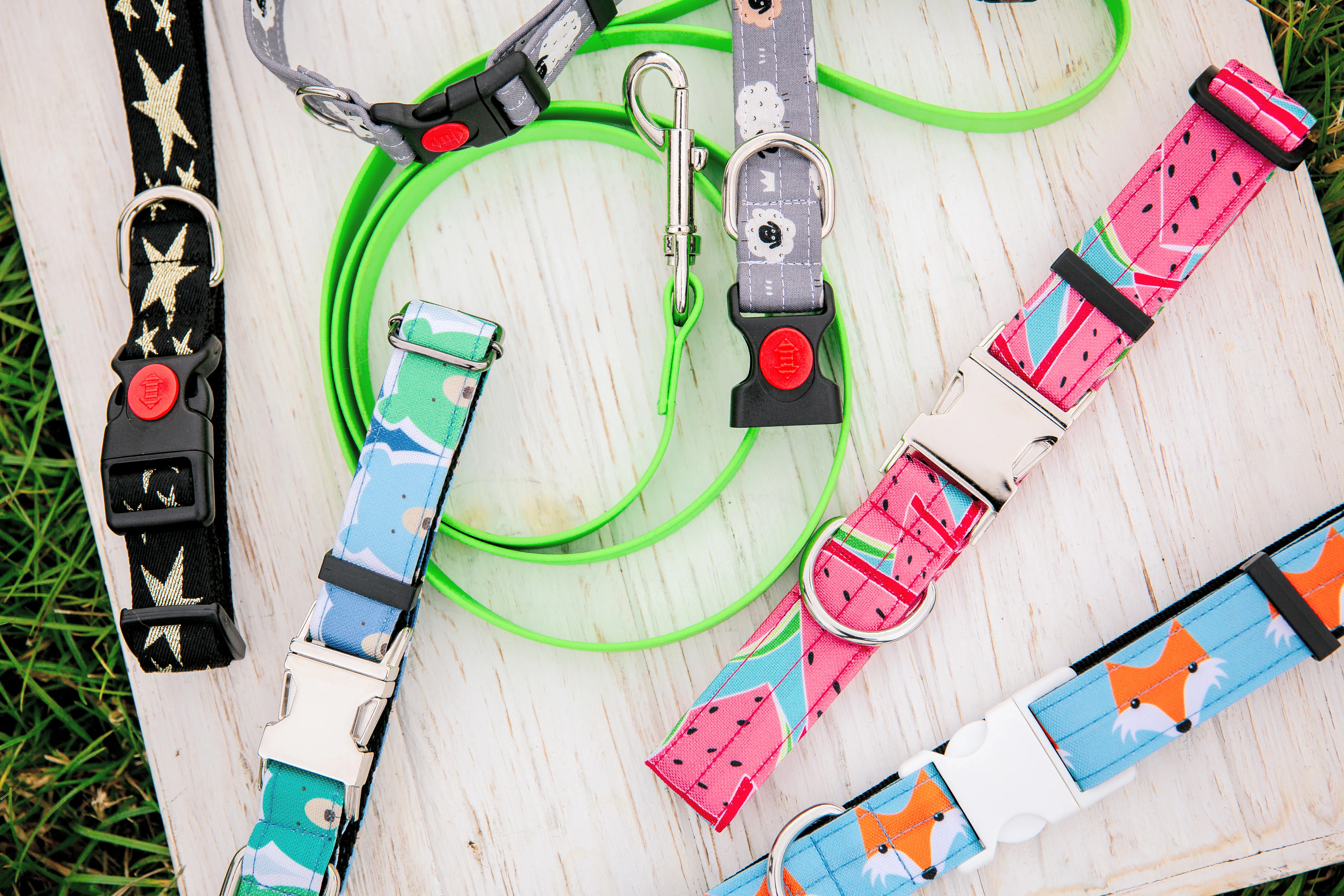 The 5 Best Dog Collar & Harness Brands