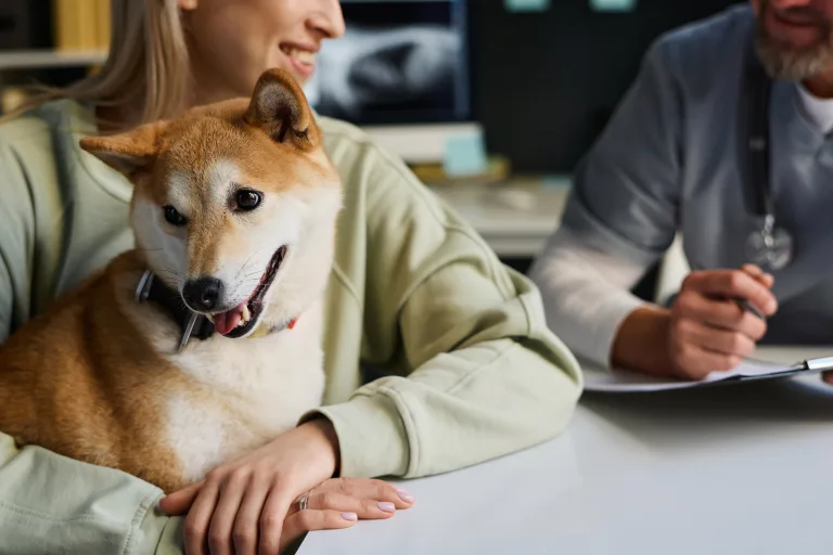The Best Pet Insurance Comparison Sites for Dog Owners in 2026 35 The Best Pet Insurance Comparison Sites for Dog Owners in 2026