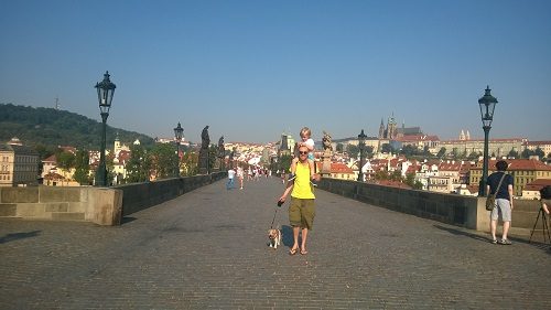One Man & His Dog: How Easy Is It to Travel Around Europe With Your Dog?