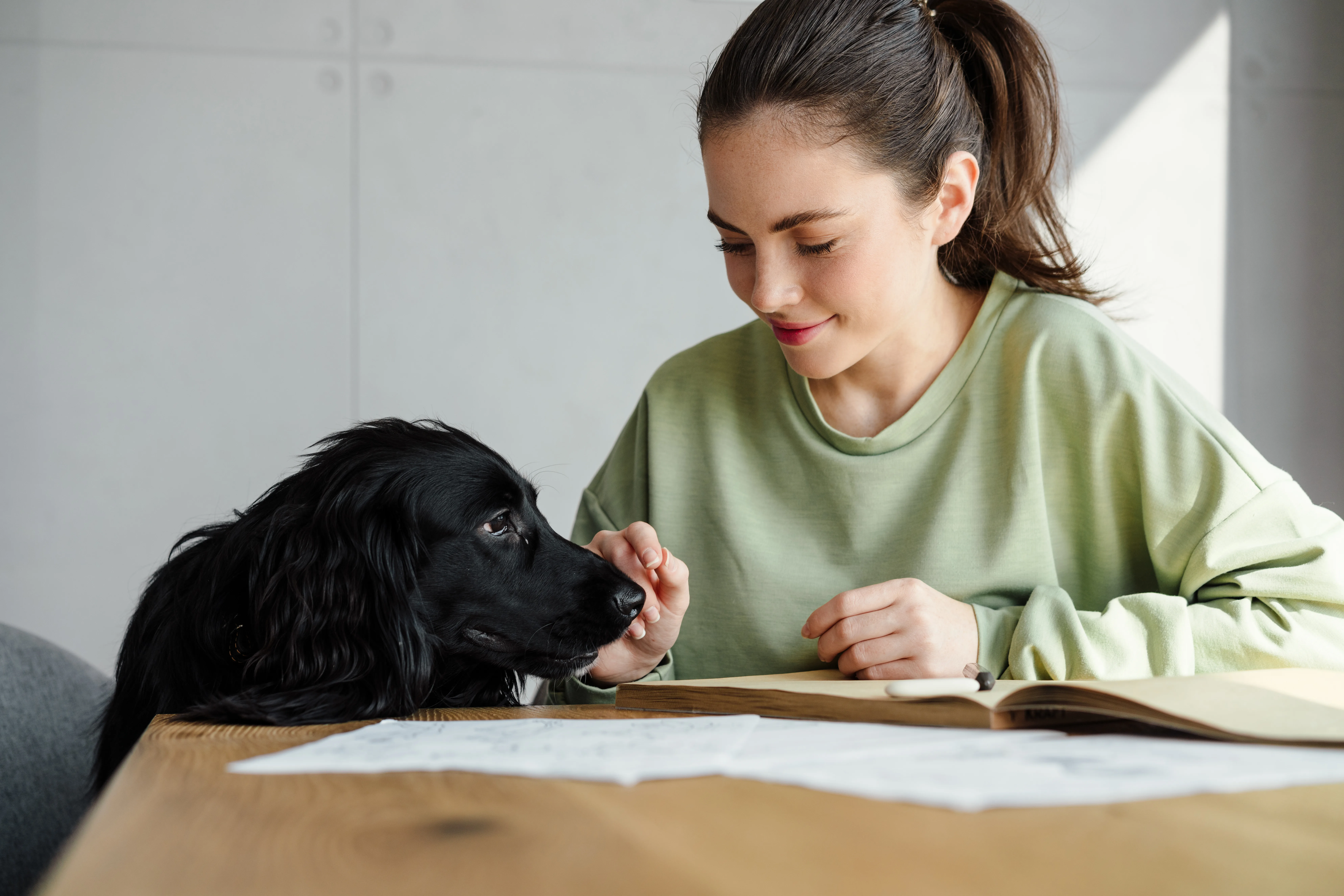 Writing Pet Care Guides Based on Your Experience