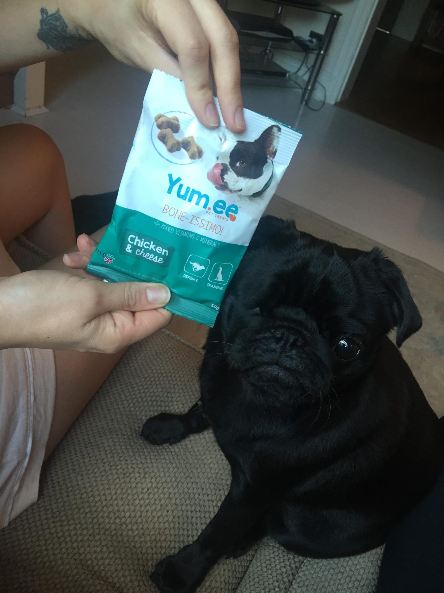 Yum.ee Pet Treat Box Review: This Celebrity's Verdict 23 Yum.ee Pet Treat Box Review: This Celebrity's Verdict