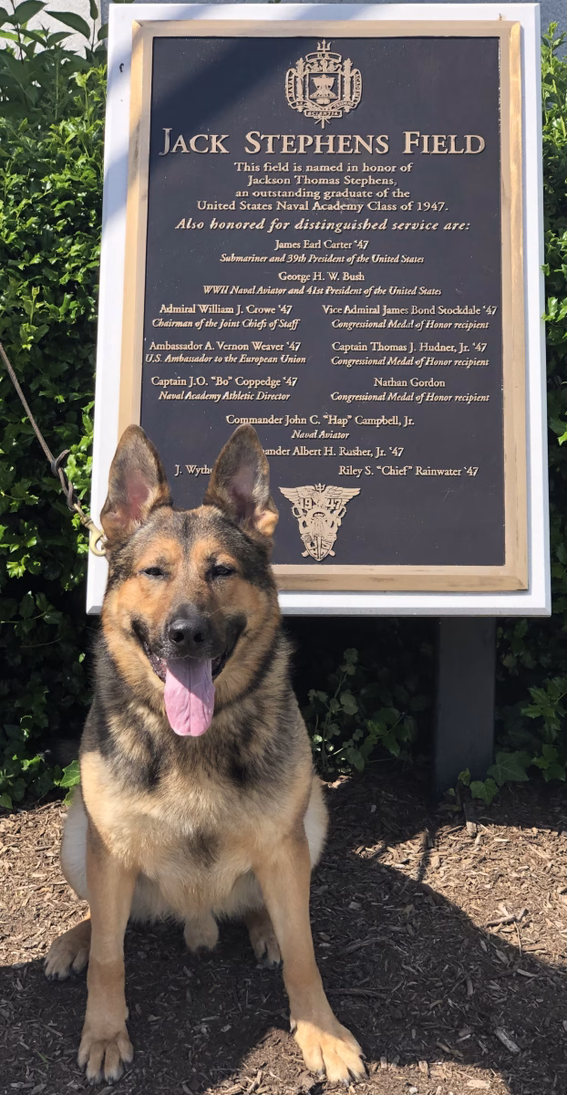 Partner to Hero: My Journey with K9 Tambo 3 Partner to Hero: My Journey with K9 Tambo