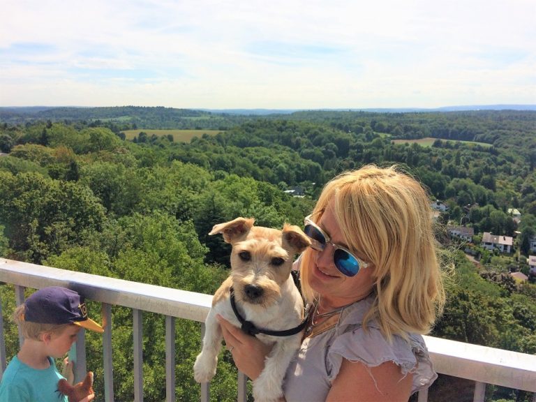 What You Should Know About Visiting Germany’s Black Forest With Your Dog 44 What You Should Know About Visiting Germany’s Black Forest With Your Dog