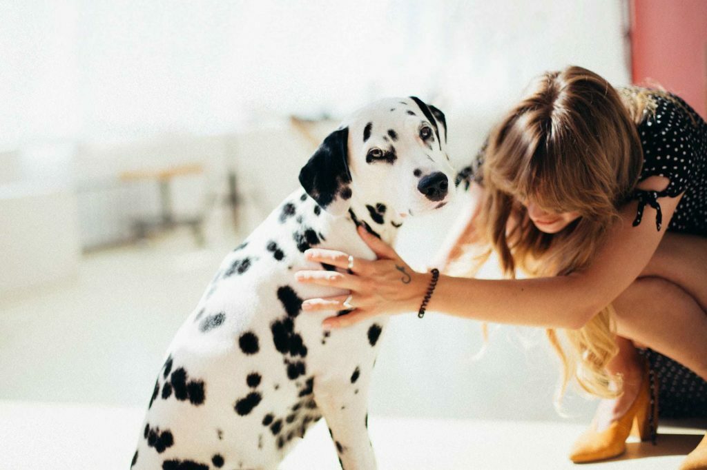 How Much Food Should I Feed My Dog? 10 How Much Food Should I Feed My Dog?