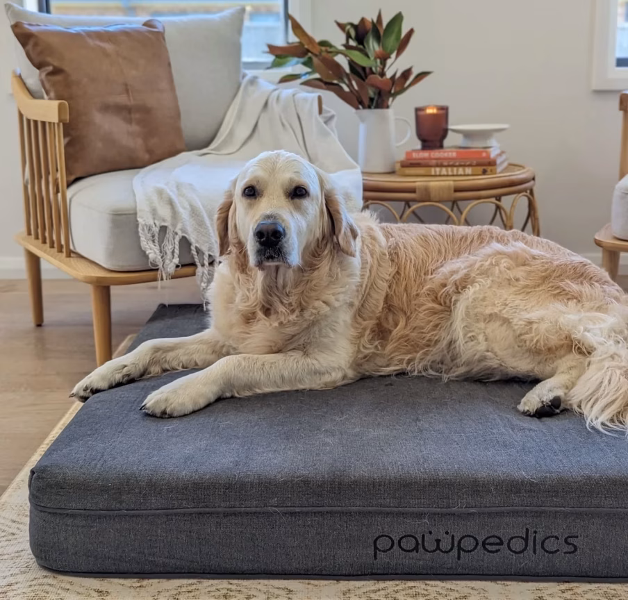 Orthopedic Dog Bed for Senior Dogs: The Science of Comfort and Support 2 Orthopedic Dog Bed for Senior Dogs: The Science of Comfort and Support