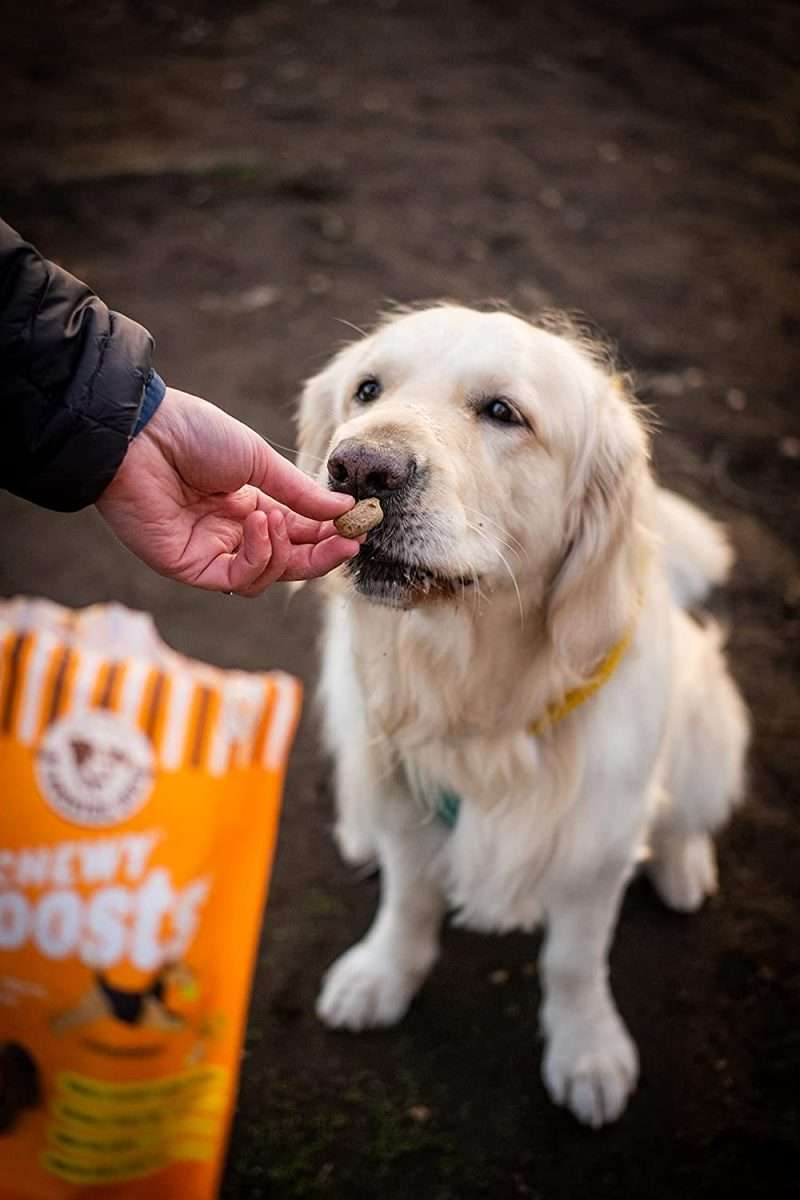 Best Dog Treats Of The Year 2023 3 Best Dog Treats Of The Year 2023