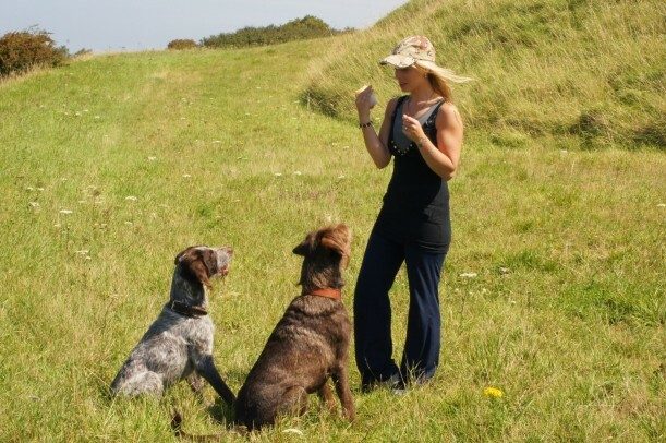 Punishment vs Reward - Which Dog Training Method Works Best? 7 Punishment vs Reward - Which Dog Training Method Works Best?