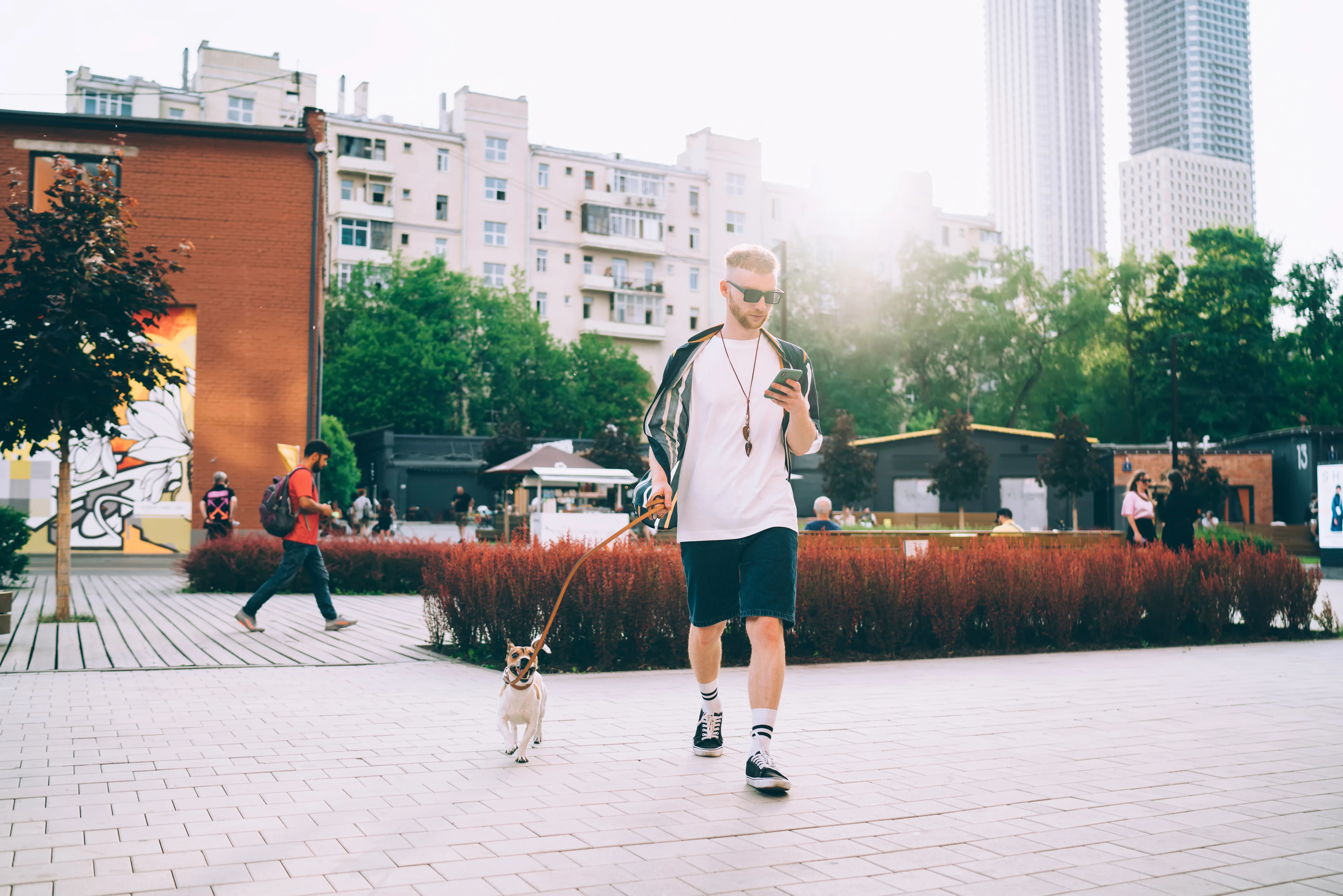 The Urban Trigger Point: Why City Dogs React Differently Under Pressure 3 The Urban Trigger Point: Why City Dogs React Differently Under Pressure