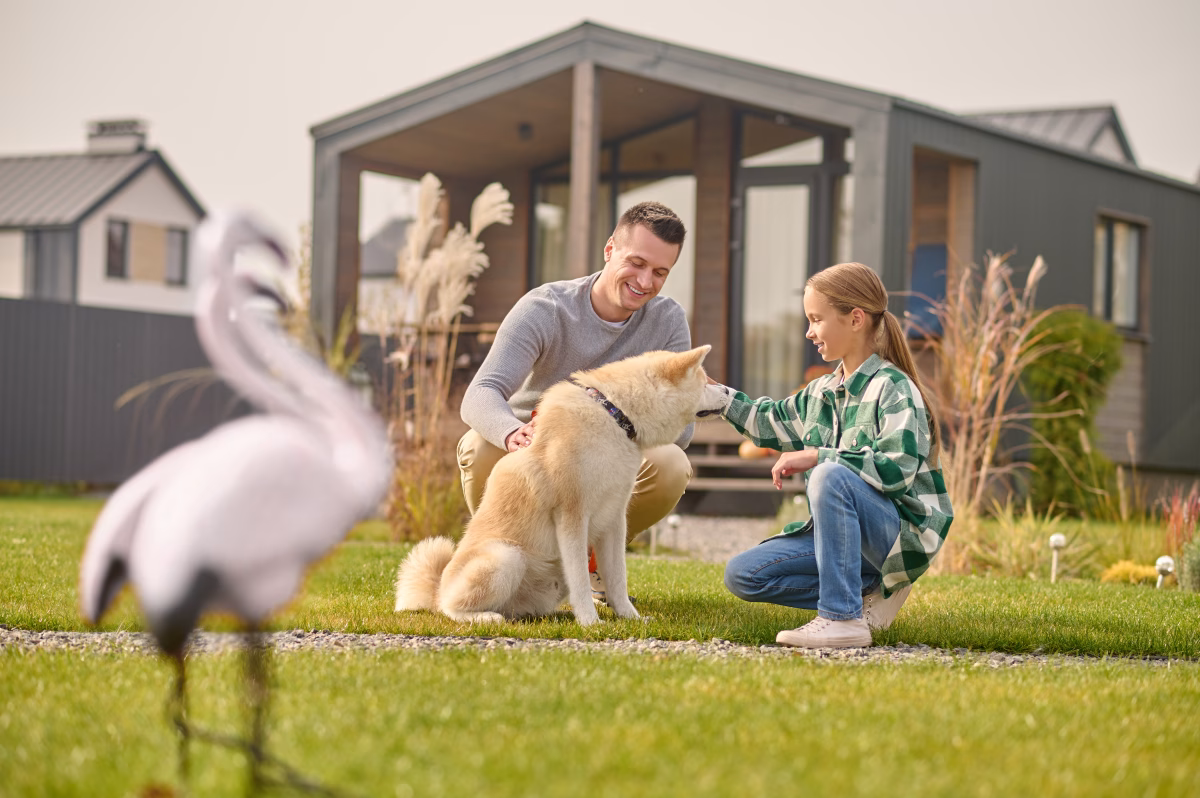 Ways to Create a Comfortable Environment for Your Pet