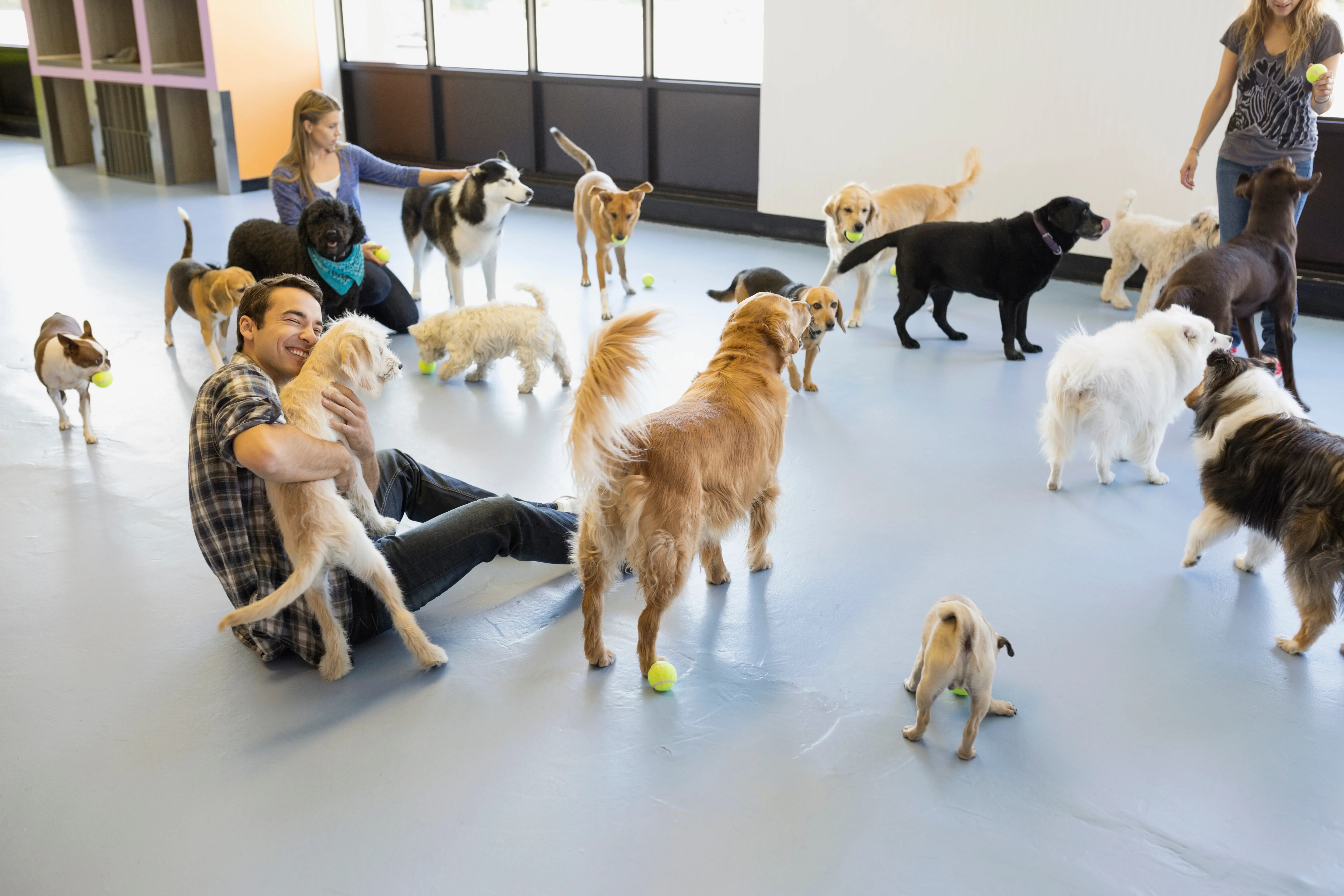 What to Consider Before Opening a Dog Daycare or Pet Boarding Business
