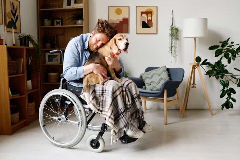 How Dogs Are Being Utilized in the Current Job Market?