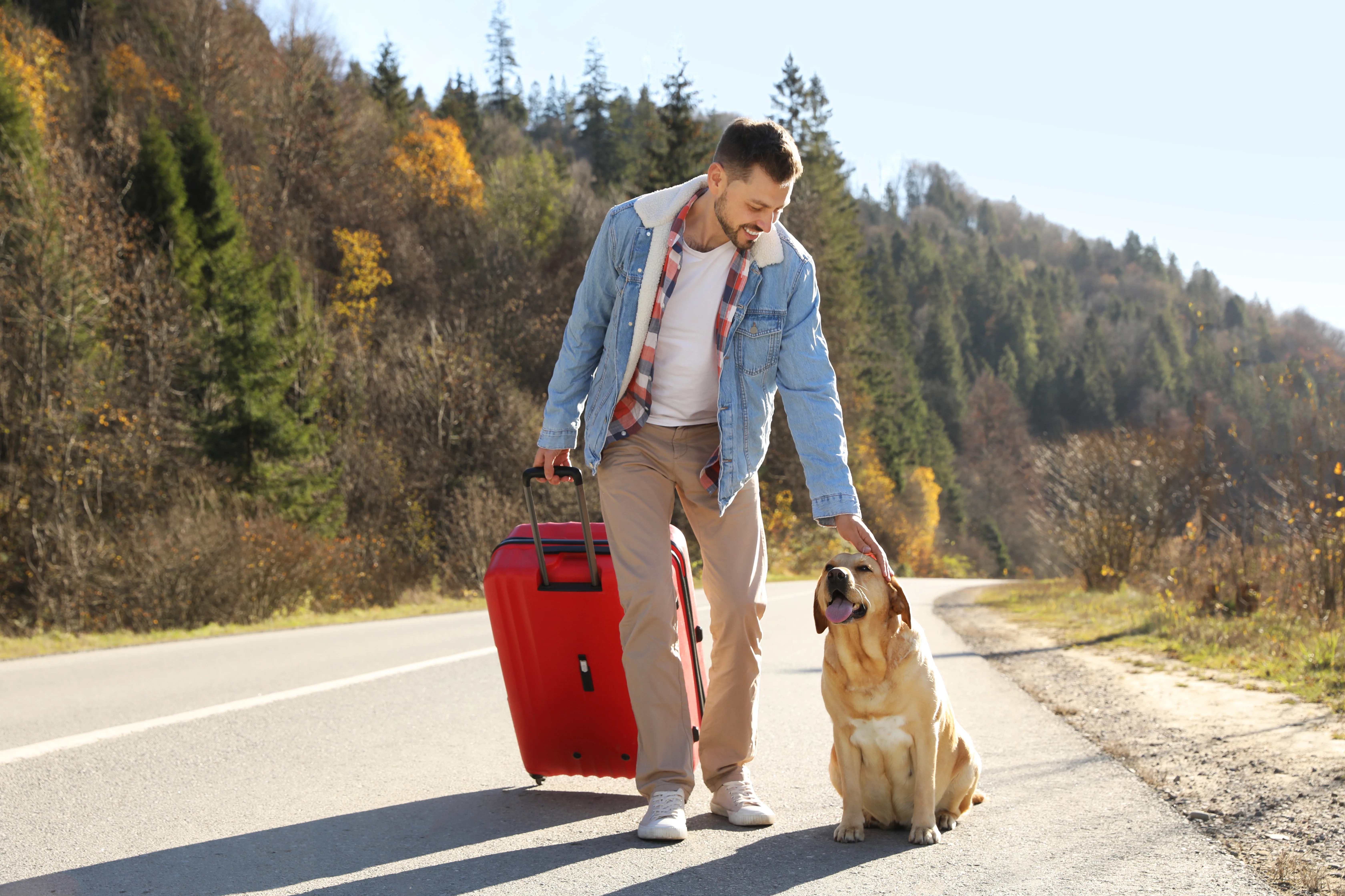 The Pet Owner’s Guide to Staying Connected Abroad