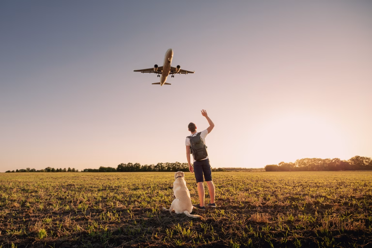 Private Jet Travel With Your Dog – What You Need To Know 25 Private Jet Travel With Your Dog – What You Need To Know