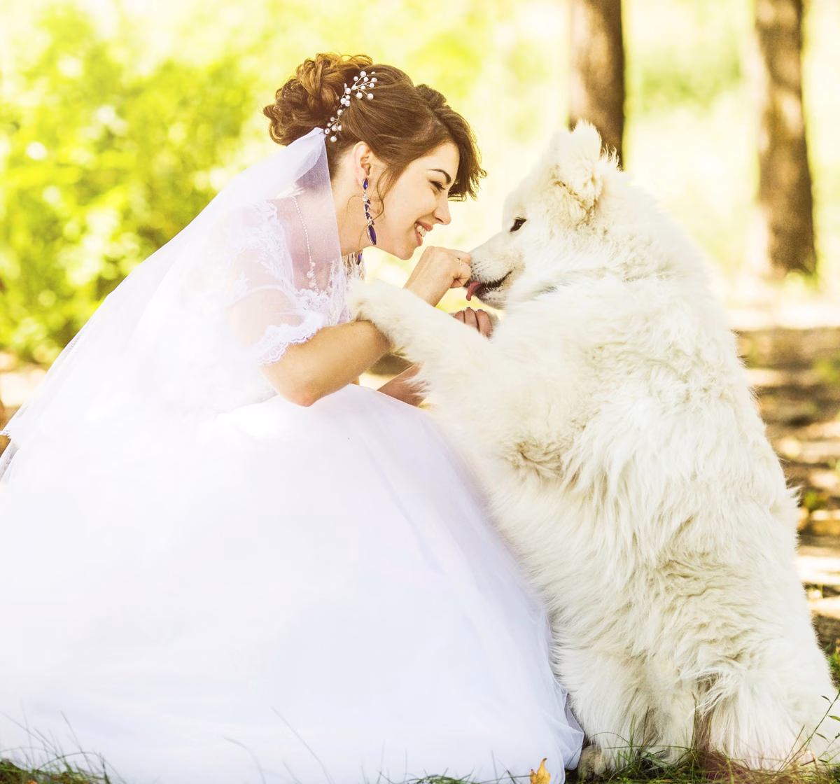 How to Plan a Wedding That Reflects Your Personality As A Dog Owner 2 How to Plan a Wedding That Reflects Your Personality As A Dog Owner