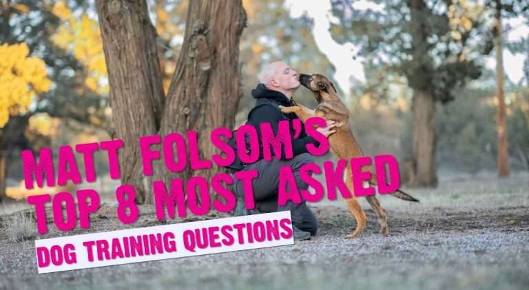 Matt Folsom's Top 8 Most Common Dog Training Questions 3 Matt Folsom's Top 8 Most Common Dog Training Questions
