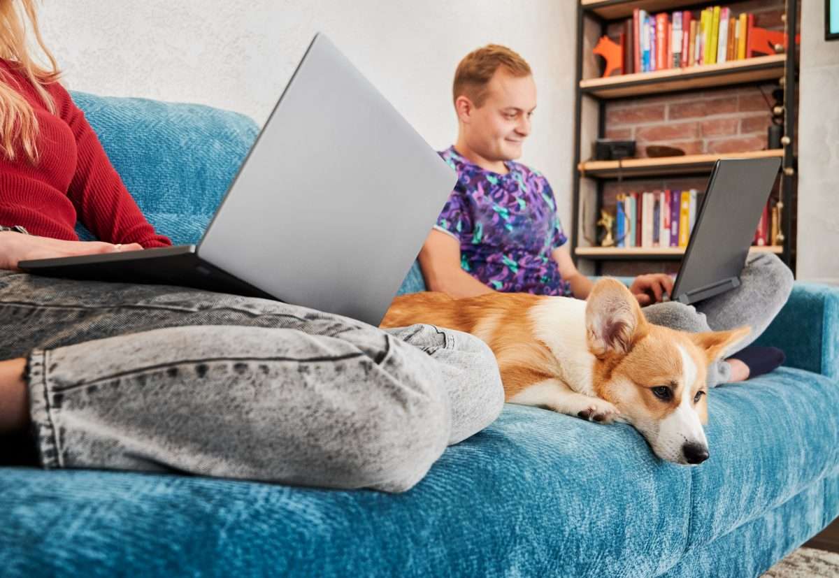 Is My Dog Bored? (3 Simple Tests Every Dog Owner Should Try) 10 Is My Dog Bored? (3 Simple Tests Every Dog Owner Should Try)