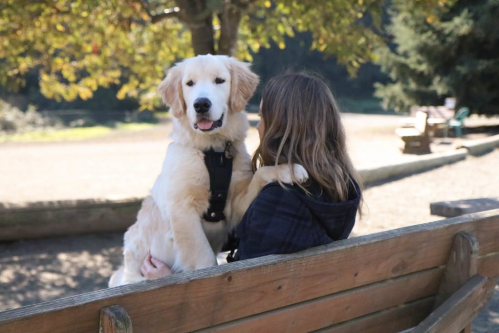 How One Dog's Sudden Change in Behaviour Would Go on to Save Her Owner 16 How One Dog's Sudden Change in Behaviour Would Go on to Save Her Owner
