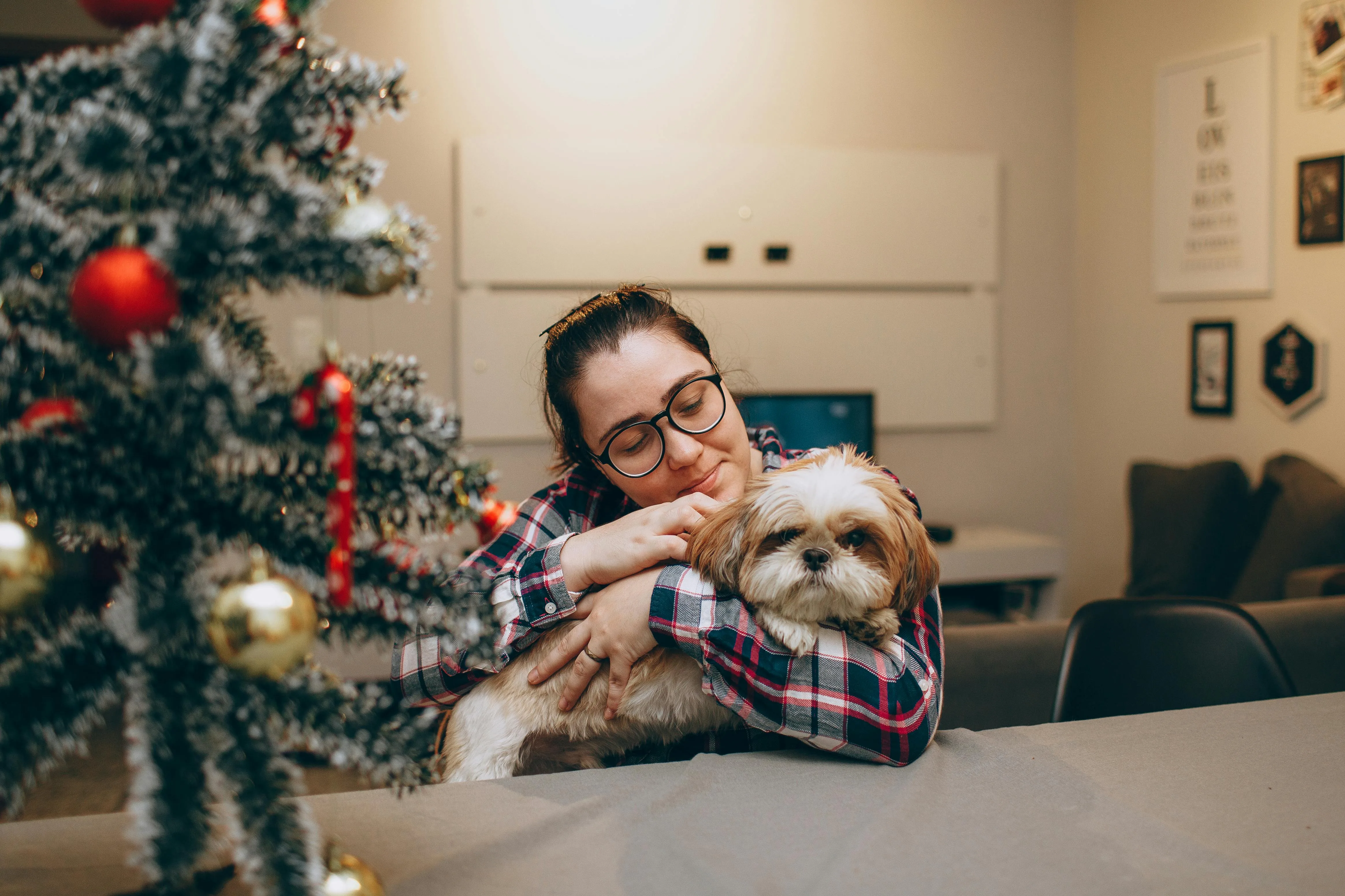 How to Make the Holidays Fun (and Stress-Free) for You and Your Dog