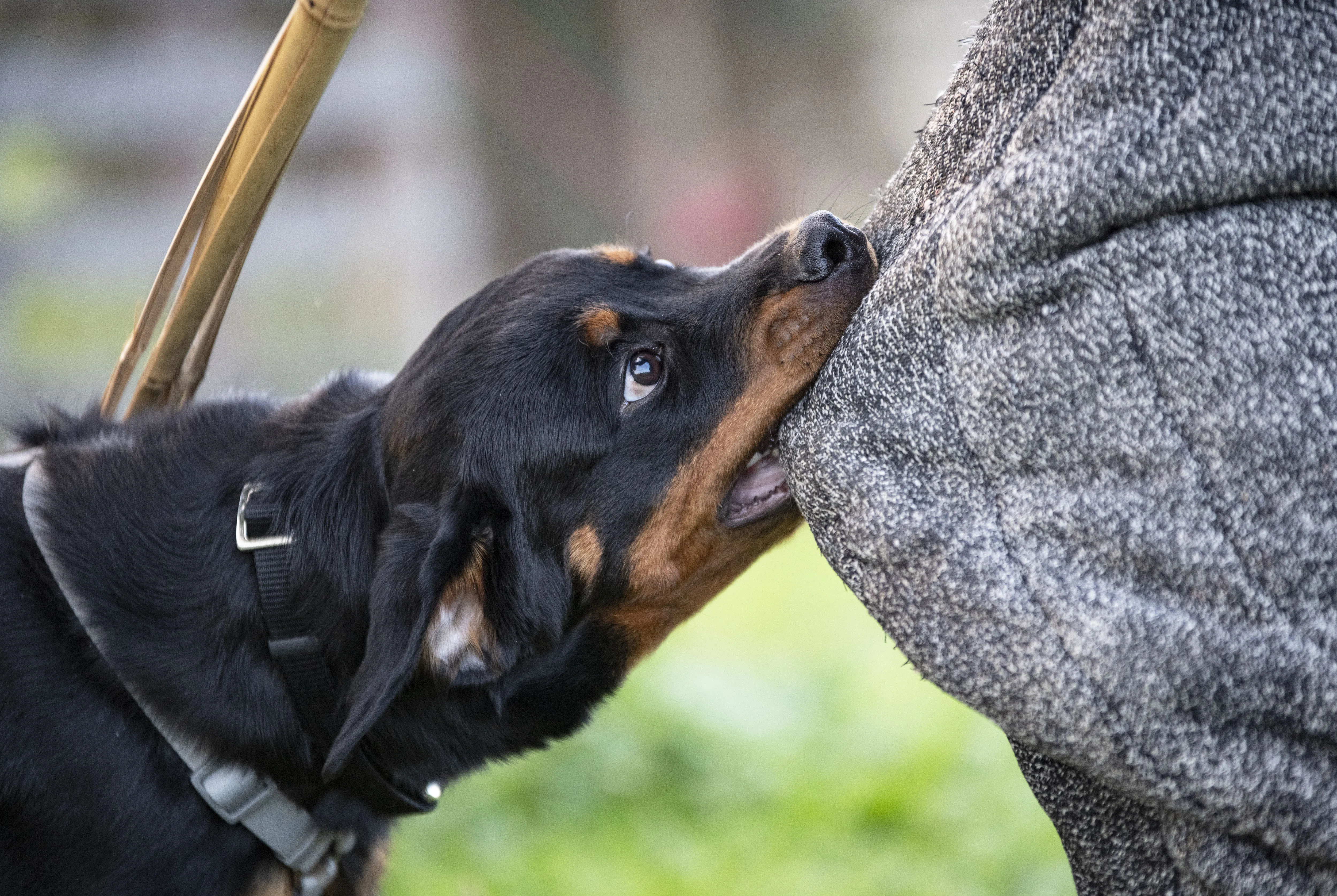 When One Bite Changes Everything 2 When One Bite Changes Everything