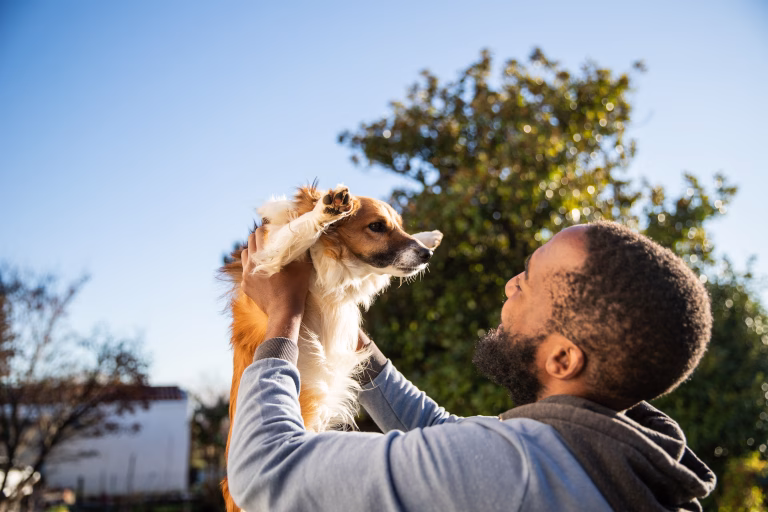 A Practical Guide to Building Emotional Connection with Your Service or Emotional Support Dog
