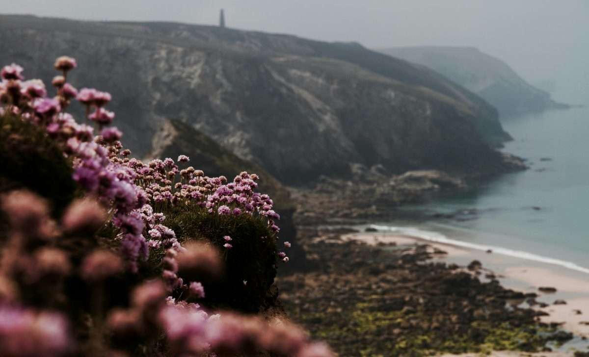 Exploring Cornwall's Coastal Trails: Dog-Friendly Hiking Adventures for You and Your Pup 3 Exploring Cornwall's Coastal Trails: Dog-Friendly Hiking Adventures for You and Your Pup
