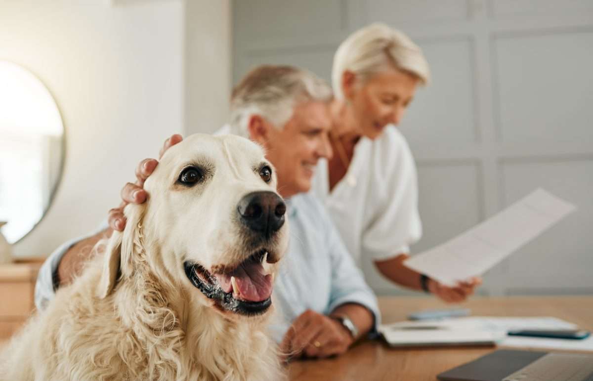The Best (Proven) Ways to Save Money on Pet Insurance 3 The Best (Proven) Ways to Save Money on Pet Insurance