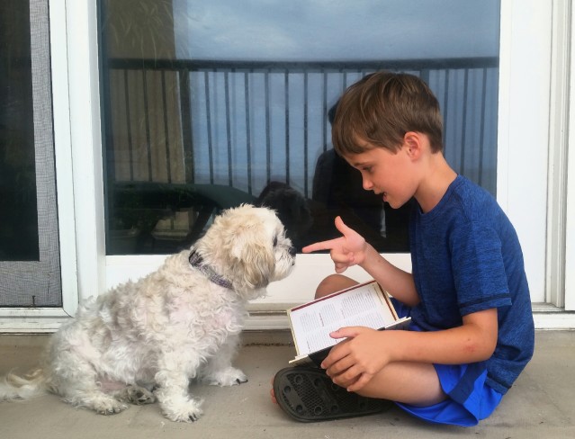 Dog Training Tips: Learning The 'Watch Me' Command 3 Dog Training Tips: Learning The 'Watch Me' Command