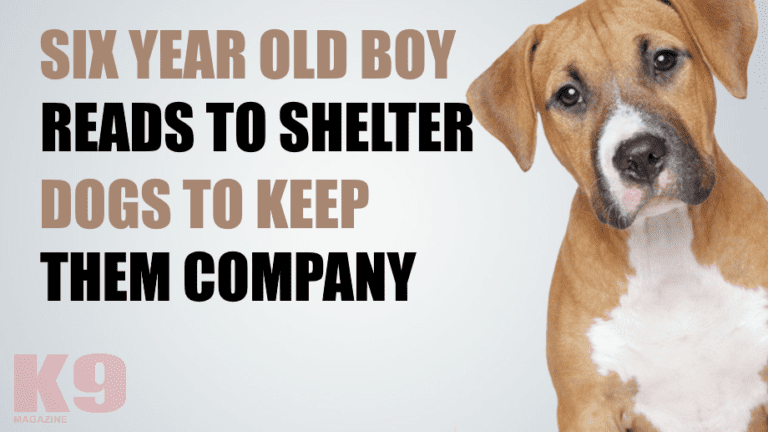 Watch as Six Year Old Autistic Boy Reads to Shelter Dogs to Keep Them Company