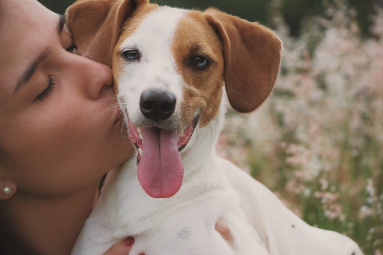 7 Superfoods for Dogs That Are Worthy of Your Attention