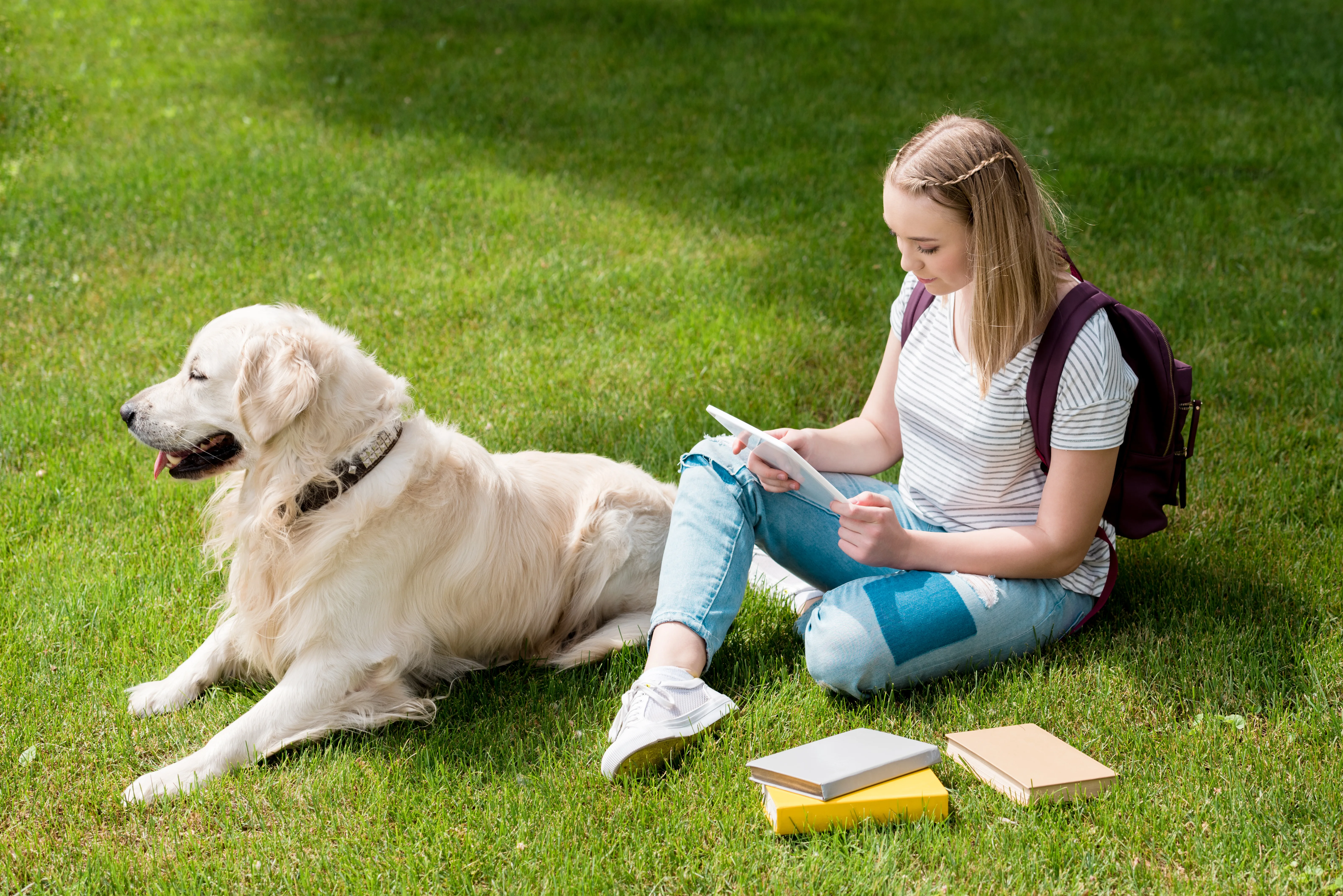 How to Write College Essays About Your Pet 1 How to Write College Essays About Your Pet