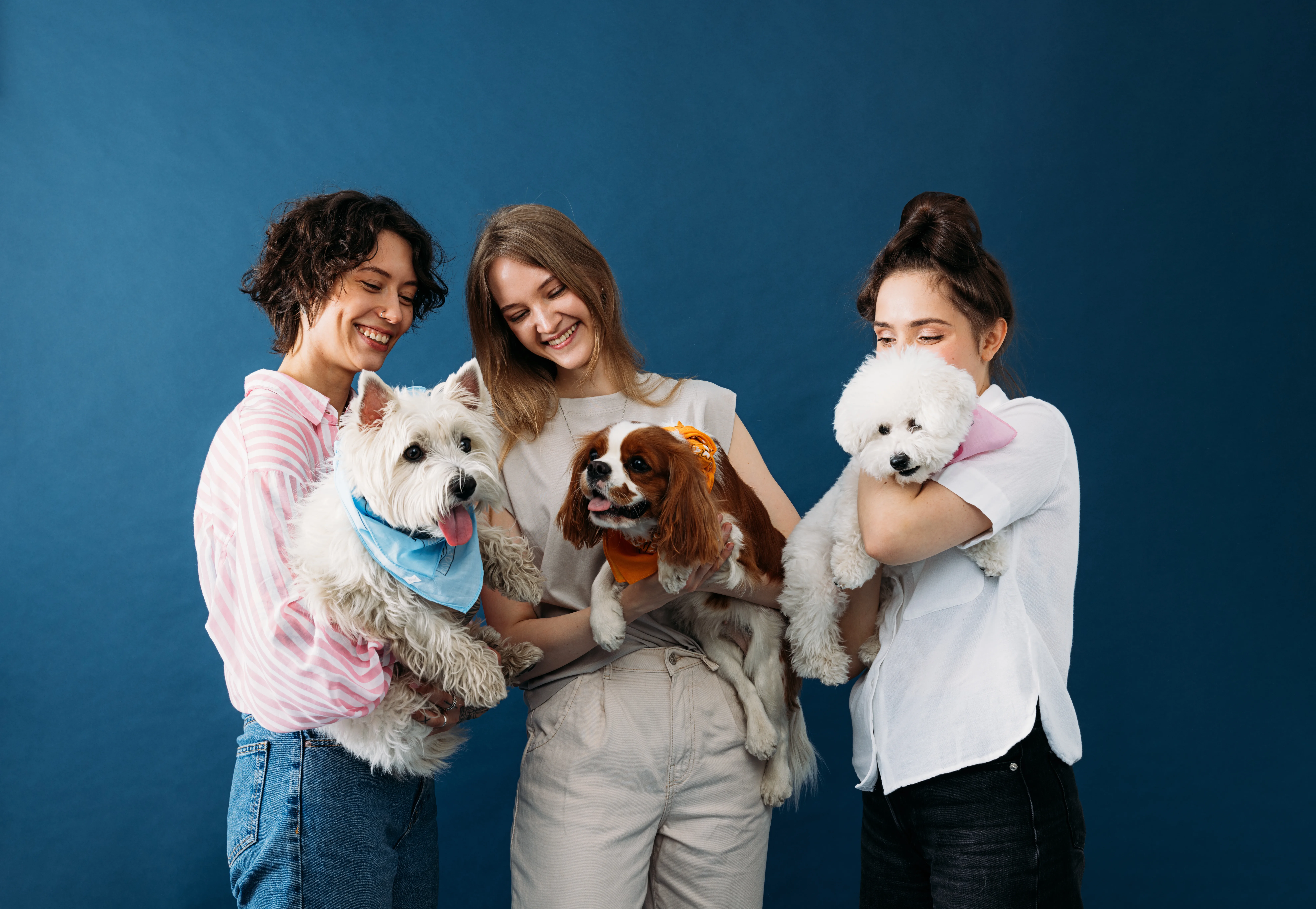 Guide to ESA Pets: Understanding Which Animals Qualify for Legitimate Emotional Support Animal Letters
