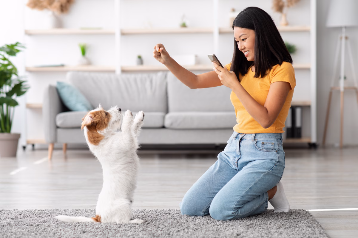 How to Train Your Dog with Technology? 2 How to Train Your Dog with Technology?
