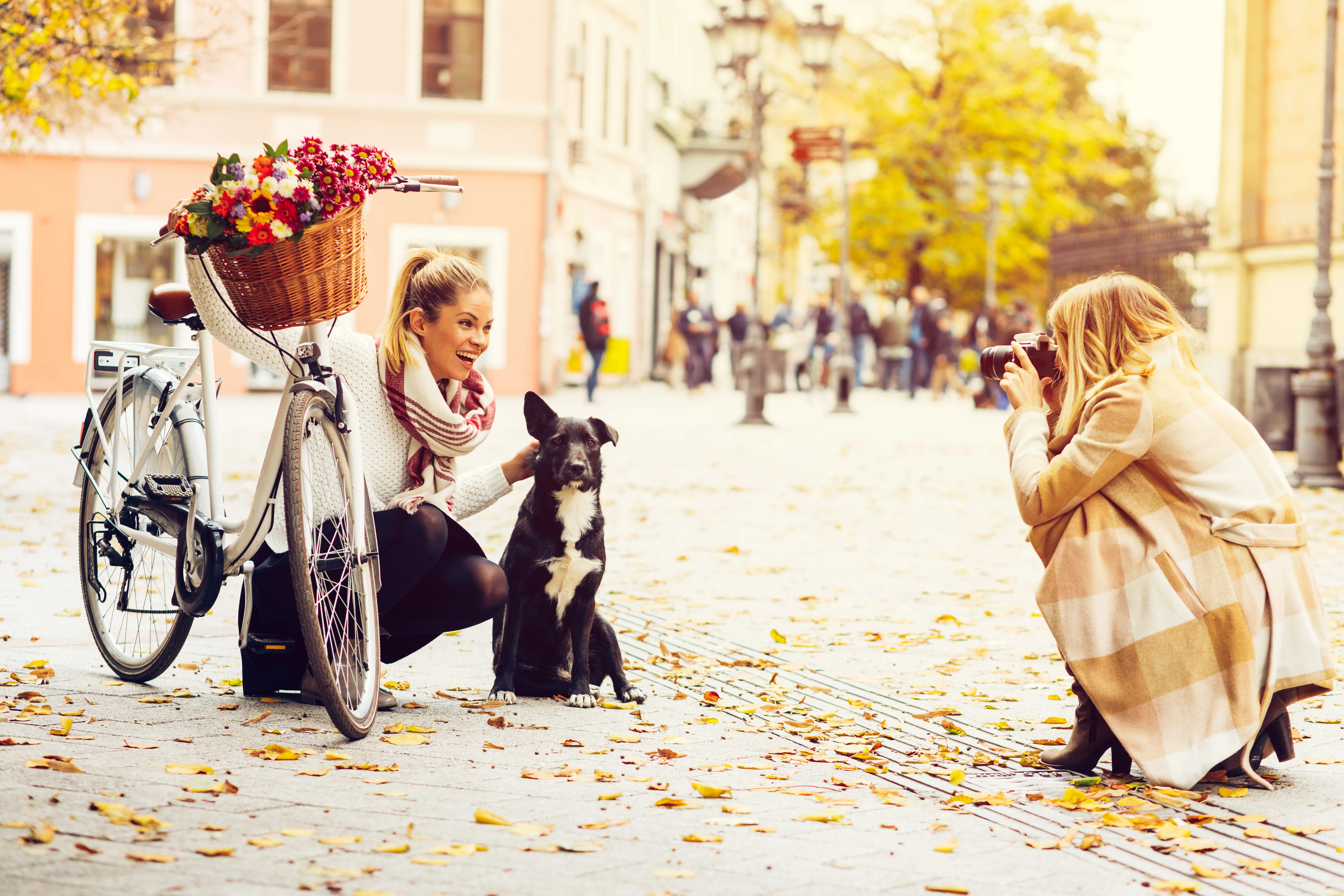 The Urban Trigger Point: Why City Dogs React Differently Under Pressure 1 The Urban Trigger Point: Why City Dogs React Differently Under Pressure