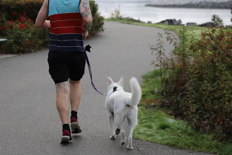 20 Health & Fitness Tips for You & Your Dog