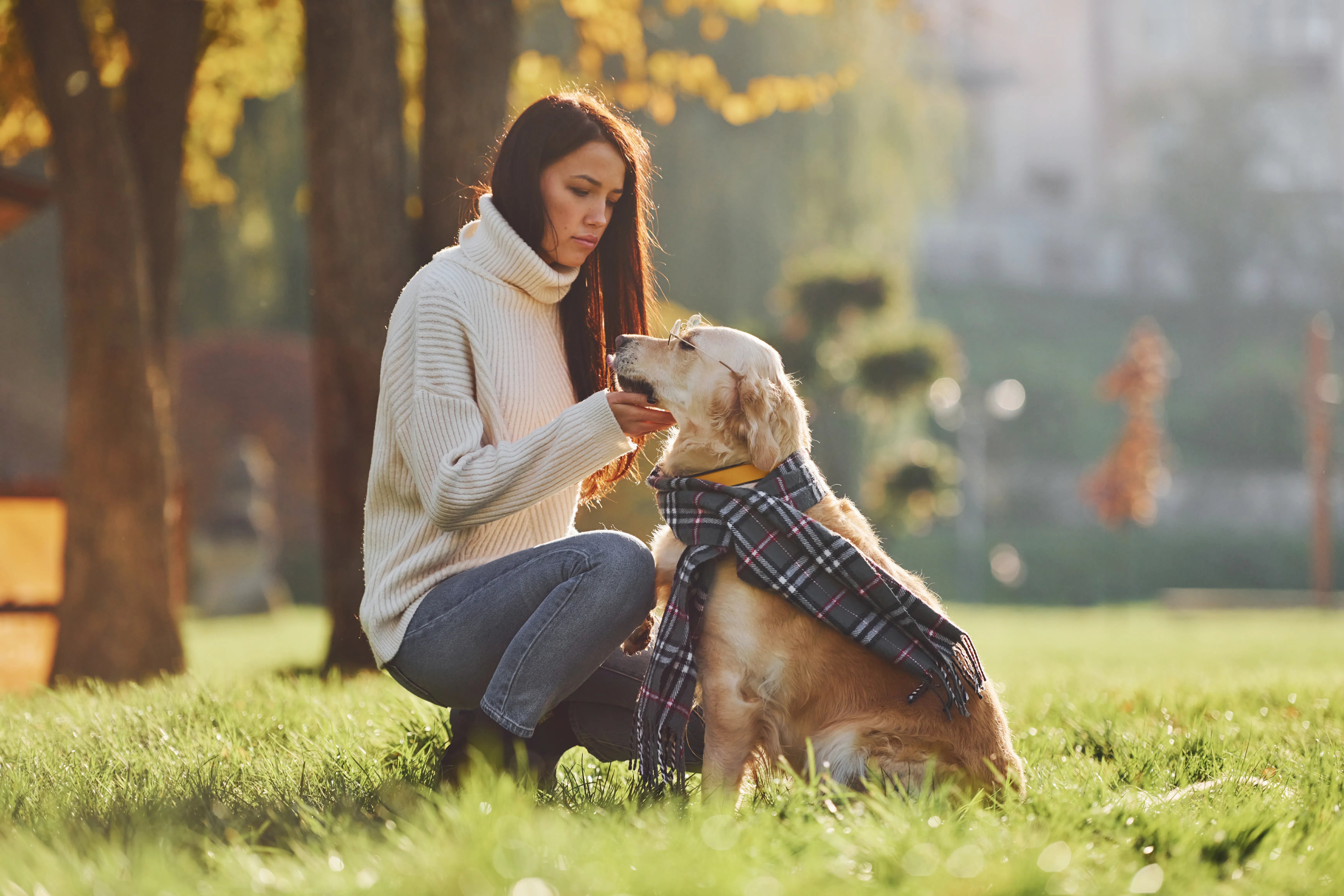 Can You Bring Your Dog to Rehab and During Detox? 2 Can You Bring Your Dog to Rehab and During Detox?