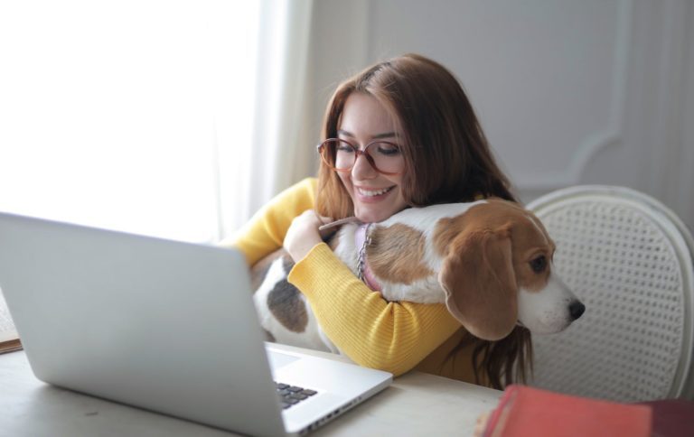 How Do Online Veterinary Consultations Work?