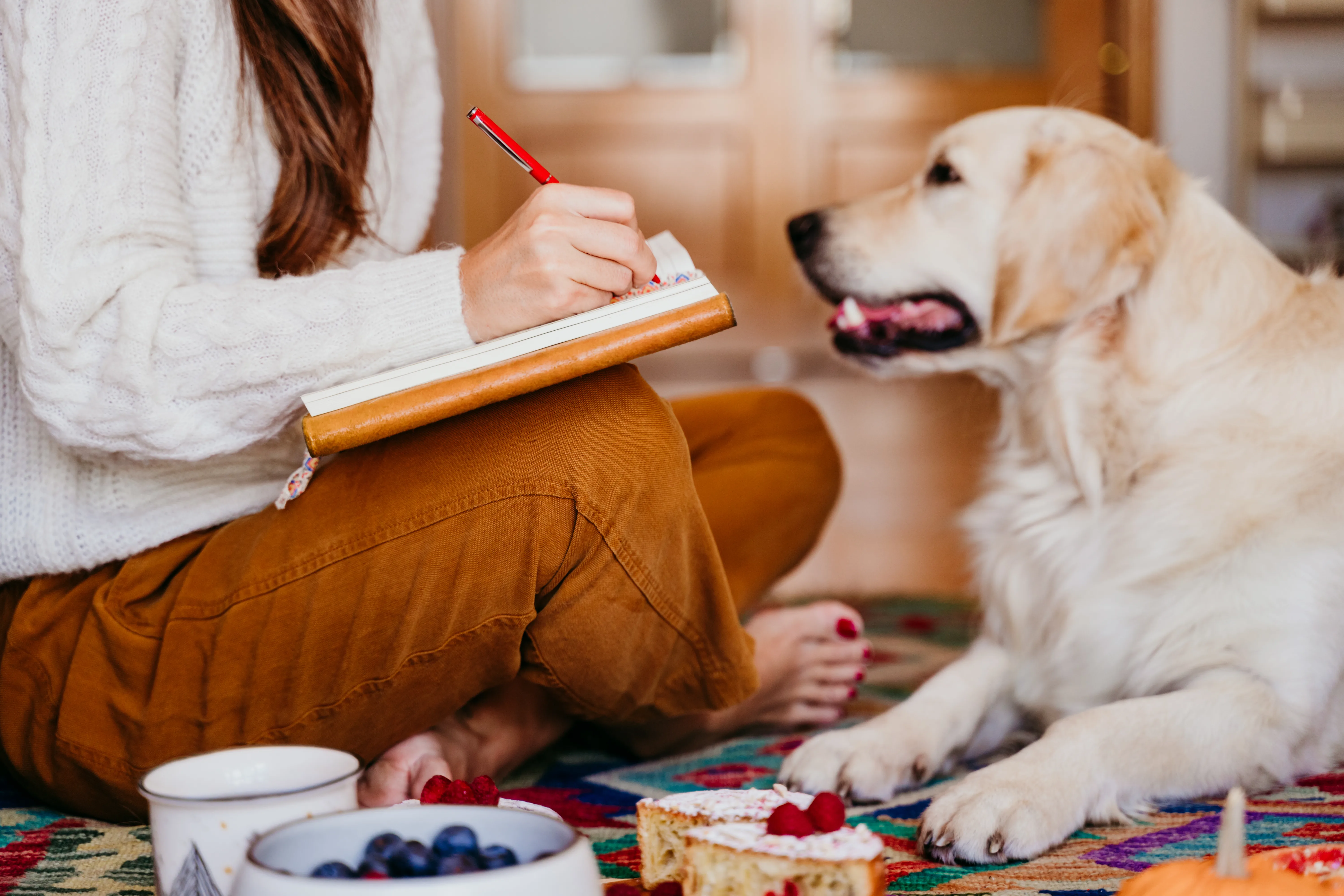 Writing Pet Care Guides Based on Your Experience
