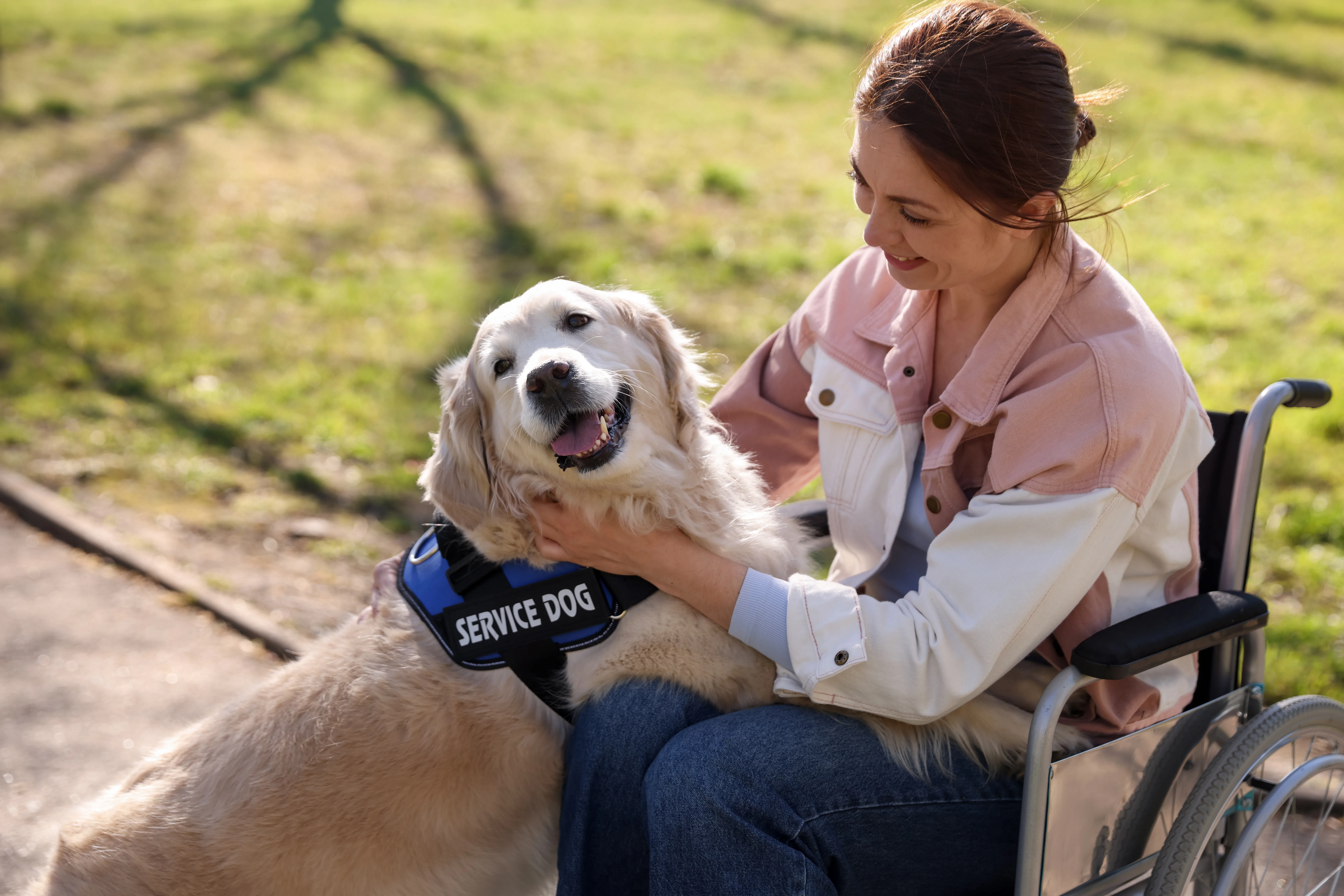 Anxious Pets as Emotional Support Animals: What Owners Need to Know and How to Help Them Thrive 1 Anxious Pets as Emotional Support Animals: What Owners Need to Know and How to Help Them Thrive