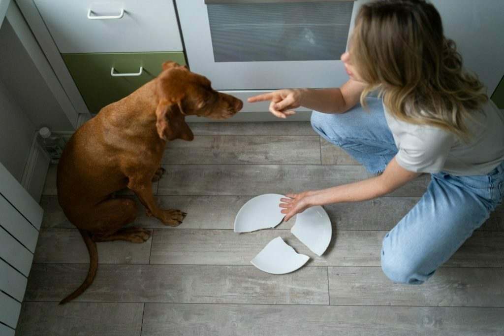 Punishment vs Reward - Which Dog Training Method Works Best? 3 Punishment vs Reward - Which Dog Training Method Works Best?