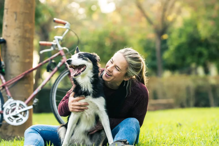 Lifetime vs Time-Limited Pet Insurance: Which Policy Offers Better Value?