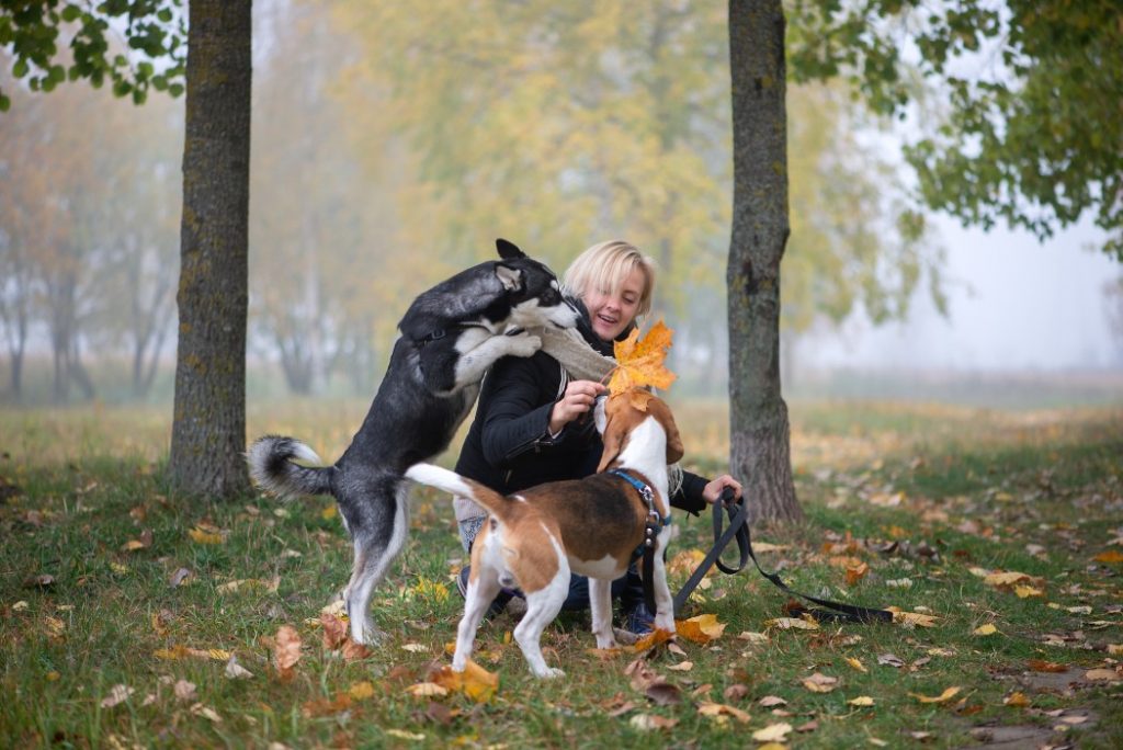 How One Dog's Sudden Change in Behaviour Would Go on to Save Her Owner 4 How One Dog's Sudden Change in Behaviour Would Go on to Save Her Owner