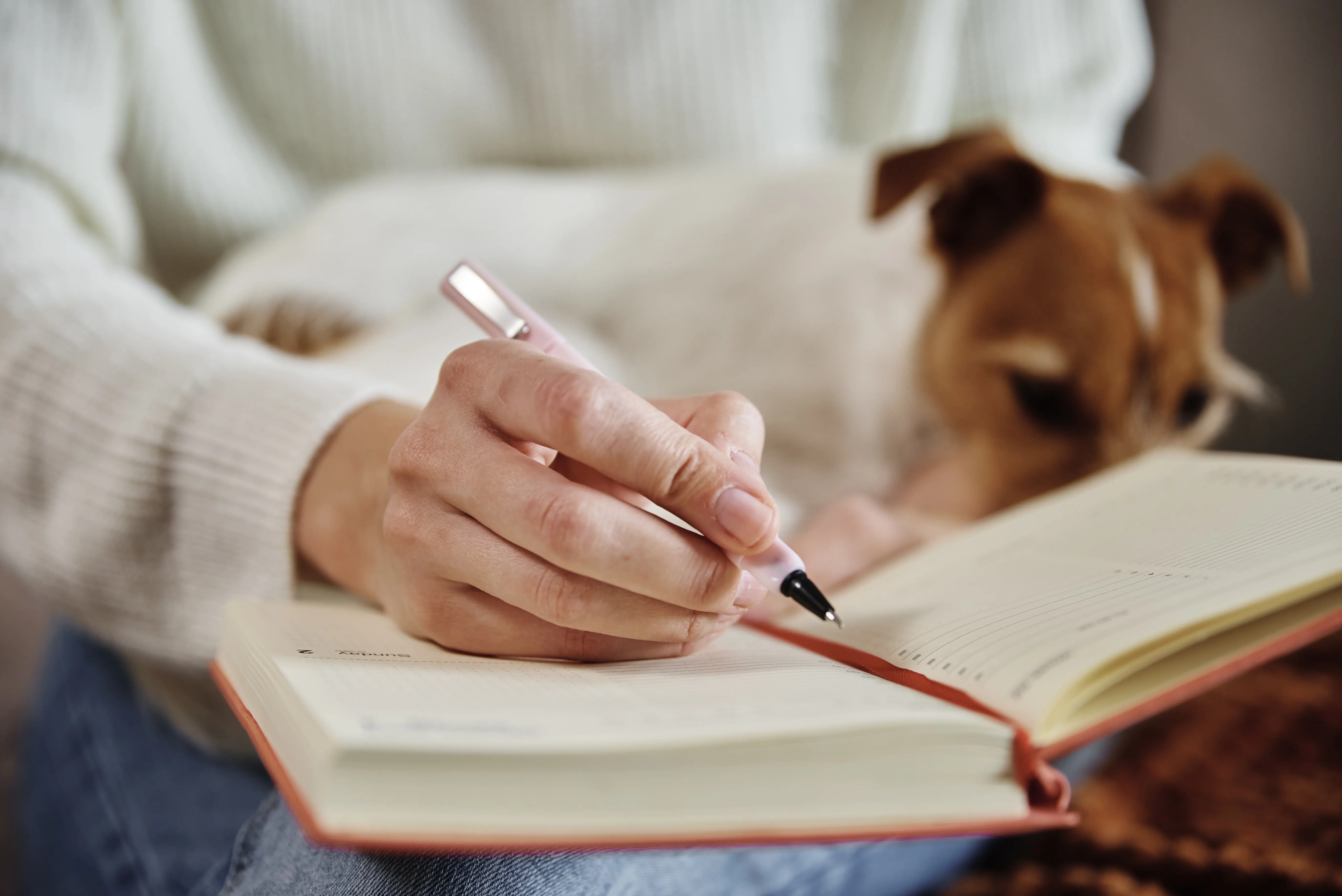 Writing Pet Care Guides Based on Your Experience