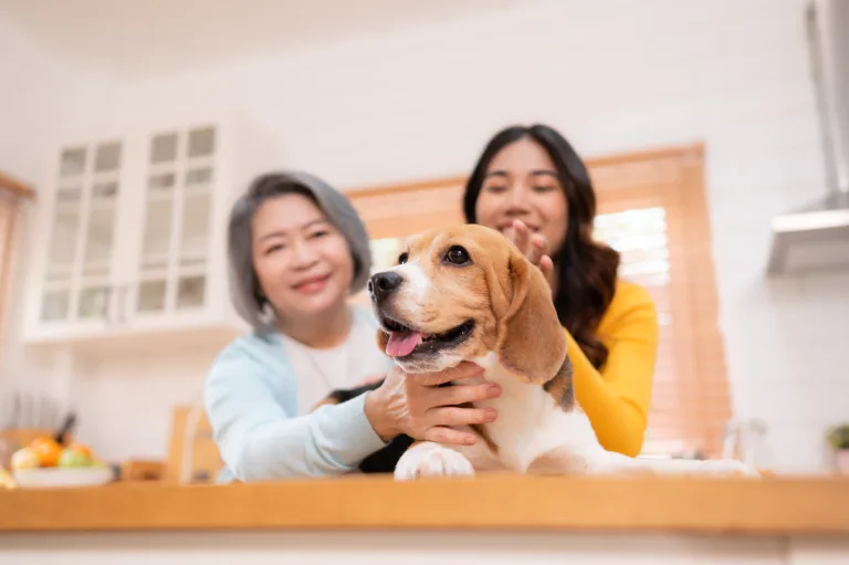 Best Pet Insurance in Arizona Compared: 5 Providers of 2026 10 Best Pet Insurance in Arizona Compared: 5 Providers of 2026